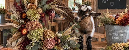 Fall Wreath Design Workshop with Baby Goats