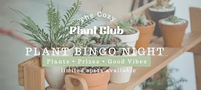Drag Plant Party