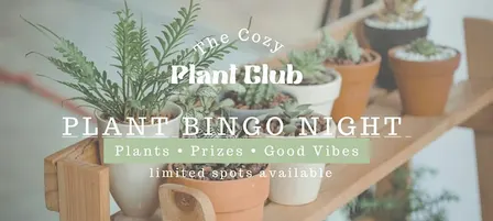 Drag Plant Party