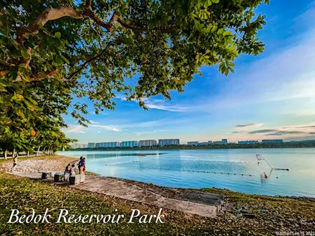 Bedok Walk