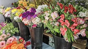 Designers Choice Floral Class