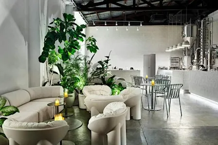 50+ Speed Dating 2.0 in the West End | Cityswoon | Ages 50-65
