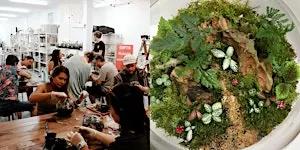 Beginner Terrarium Building Workshop