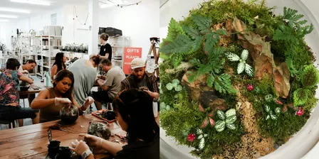 Beginner Terrarium Building Workshop
