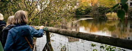 Marais Wiels : quand le patrimoine industriel rencontre la nature