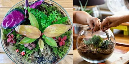 Terrarium-Making Date Night