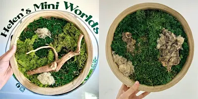 Moss Wall Art Workshop