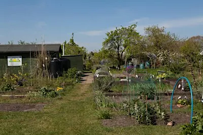 Bluebell Open Day
