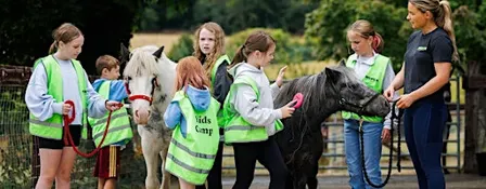 Halloween Kids Camp at NSPCA Dublin
