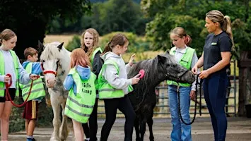 Halloween Kids Camp at NSPCA Dublin
