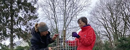 Tree Audit at Hope Wood