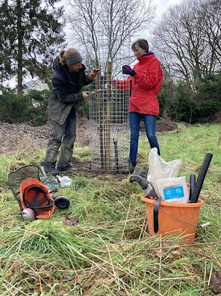 Tree Audit at Hope Wood