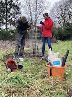 Tree Audit at Hope Wood