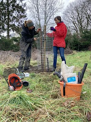 Tree Audit at Hope Wood