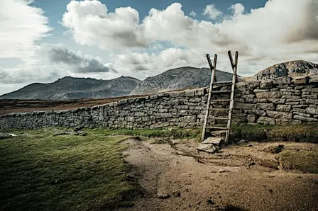 How effective are ASSIs and AONBs in Northern Ireland?