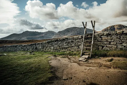 How effective are ASSIs and AONBs in Northern Ireland?
