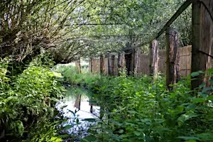 Herfstwandeling met de gebiedsbeheerder in de eendenkooi