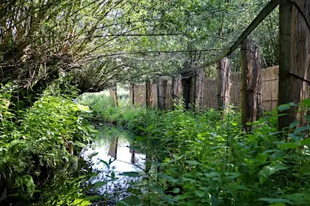 Herfstwandeling met de gebiedsbeheerder in de eendenkooi