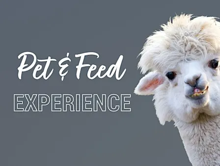 Pet and Feed Experience - Fair Oaks