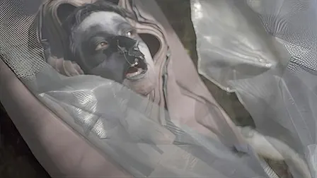 Film Screening & Artist Talk: To Die into a Bird by Anna Kushnerova