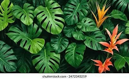 Plant Bingo: A Night of Plants, Prizes & Good Vibes