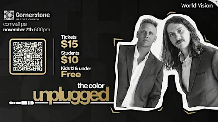 The Color - Unplugged