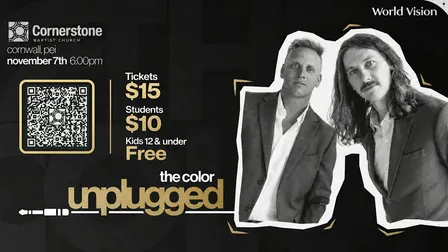 The Color - Unplugged