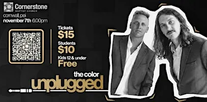 The Color - Unplugged