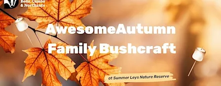 Awesome Autumn Family Bushcraft at Summer Leys
