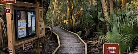Pawpaw Chapter FNPS Field Trip to Hontoon Island