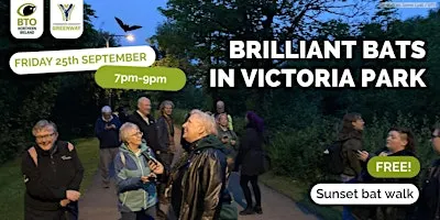 Brilliant Bats in Victoria Park