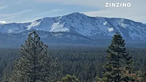 Zinzino Northern Nevada Super Saturday
