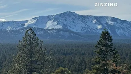 Zinzino Northern Nevada Super Saturday