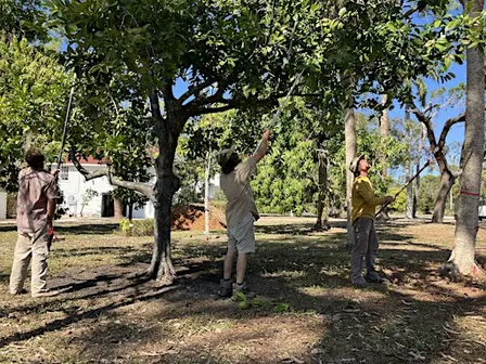 Presentation -Florida Native Plant Society - Restoration at the Eide Center