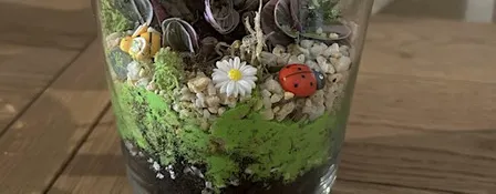 Terrarium Workshop