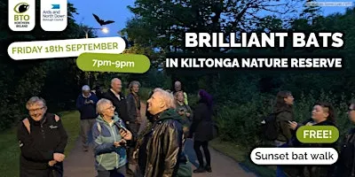 Brilliant Bats at Kiltonga Nature Reserve
