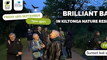 Brilliant Bats at Kiltonga Nature Reserve