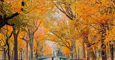 Central Park Social Walk (50s & Over)