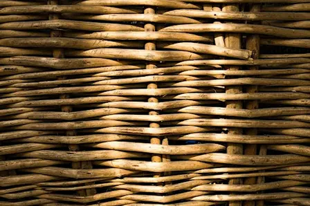 Harvest Home - willow weaving workshops