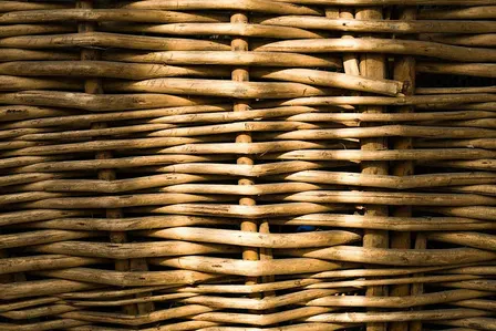 Harvest Home - willow weaving workshops