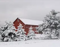 Winter on the Farm