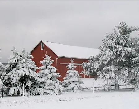 Winter on the Farm