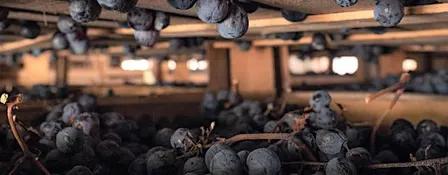 Passione di Valpolicella- Bussola Tomaso