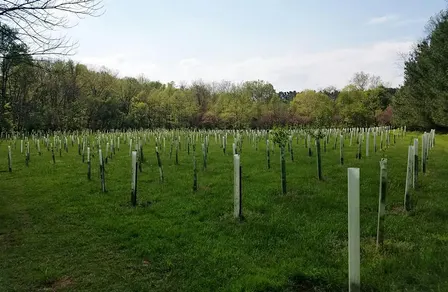 Fall 2026 Working Forest Field Tour: Frederick County