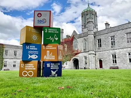 Who Needs Anemones?–Film Screening for University of Galway SDG Week 2026