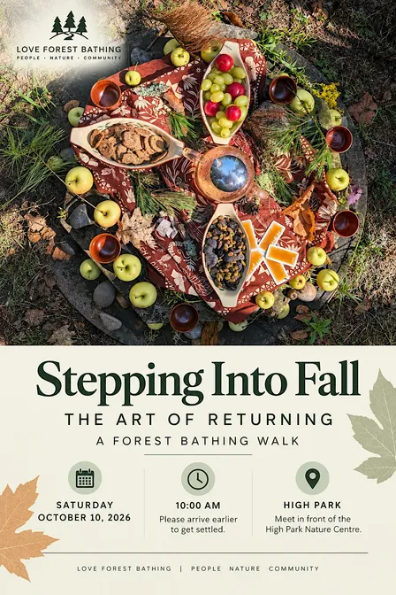 High Park Forest Bathing Walk