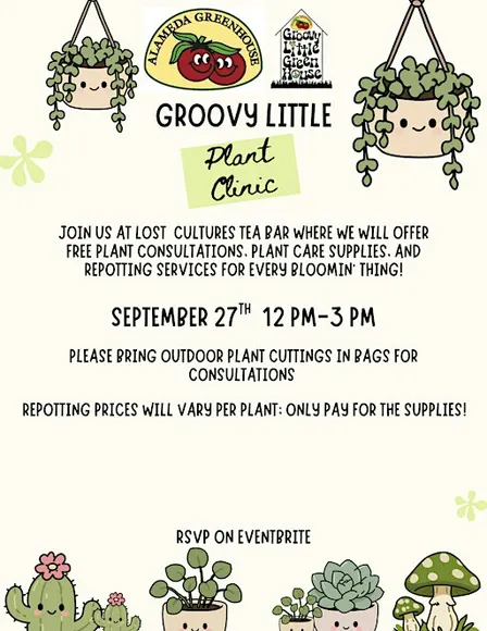 Groovy Little Plant Clinic!