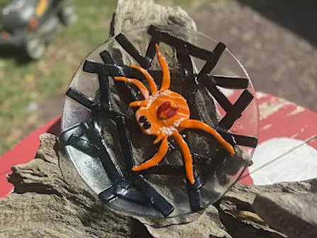 Spidey Bowl Fused Glass Class