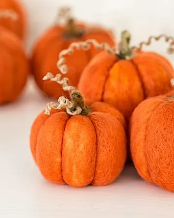 Pilates and needle felt pumpkins workshop