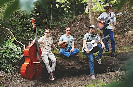 Live Music: The Meadow Stompers